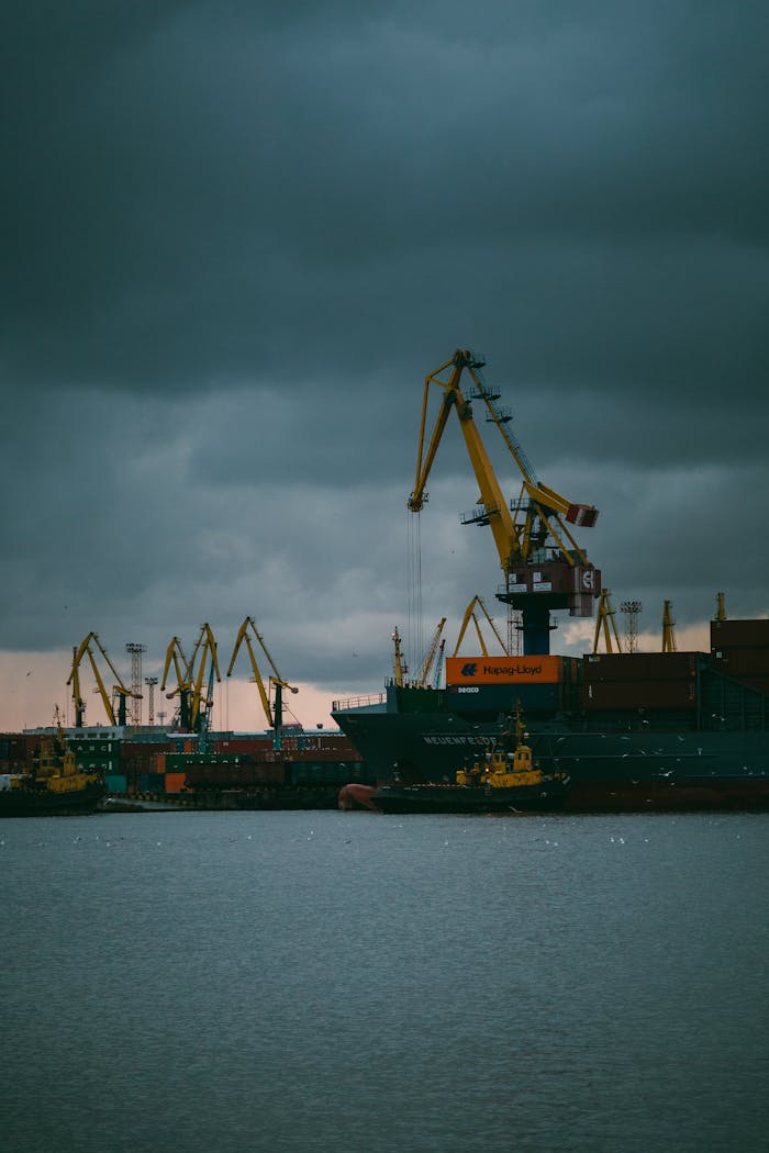 services-05 A moody port scene featuring large industrial cranes at dusk under a stormy sky.